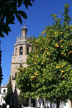 Santa Maria la Mayor