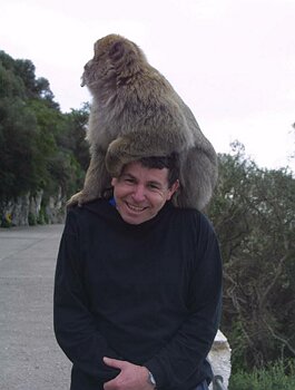 heavy macaque