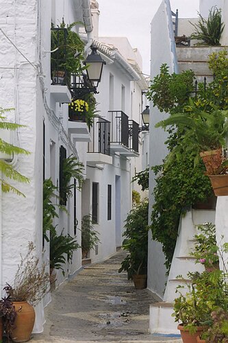 Frigilliania, Spain