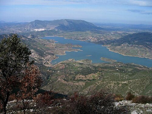 Toward Zahara