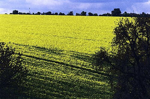 Broadchalke, Wiltshire